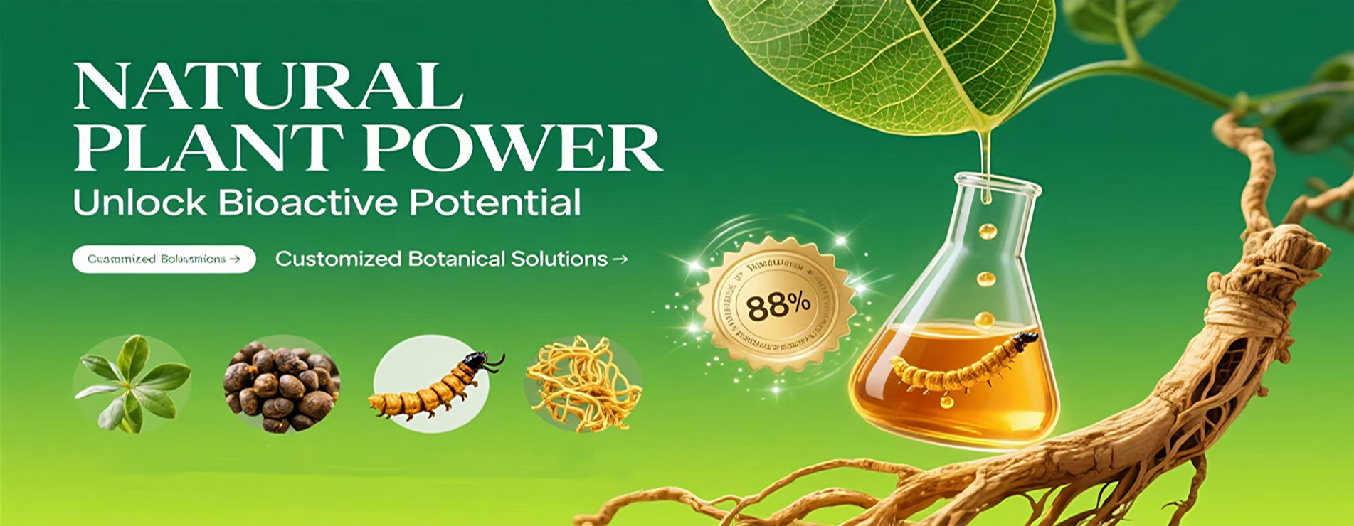 From Nature, High-Purity Plant Extracts, Starting A Pure Life